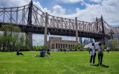 Save The Roosevelt Island Steam Power Plant: Demand Transparency And Accountability
