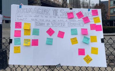 Thank You for Standing Up for Roosevelt Island