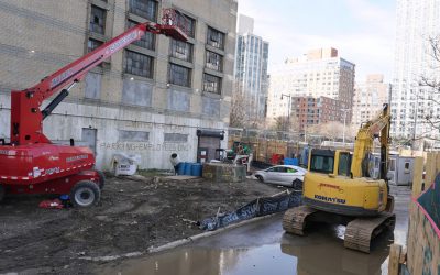 A Critical Moment for Roosevelt Island